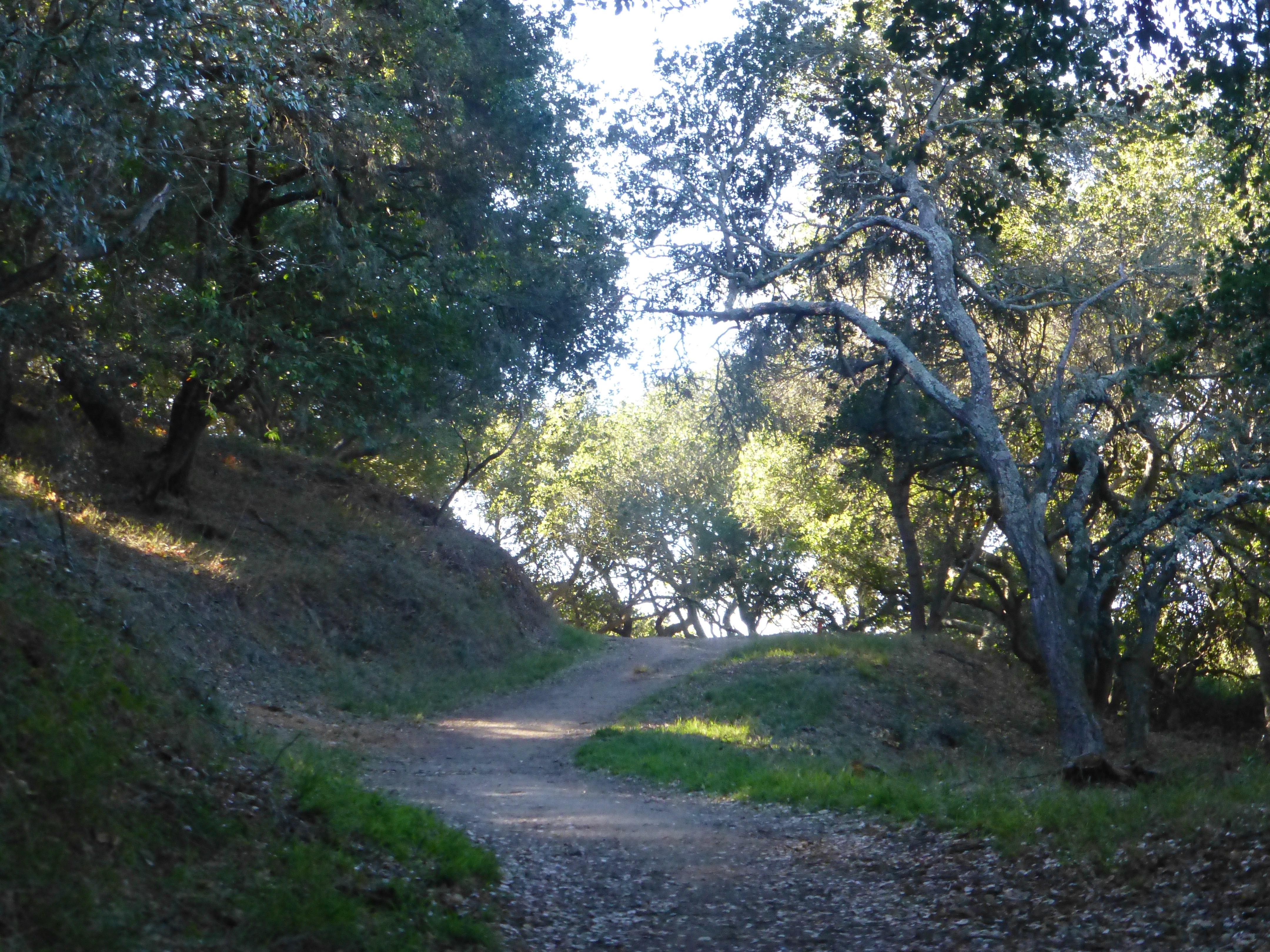 Ridge Trail
