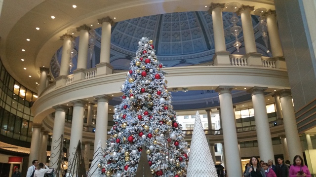 2015-12-19 13.59.00.jpg
