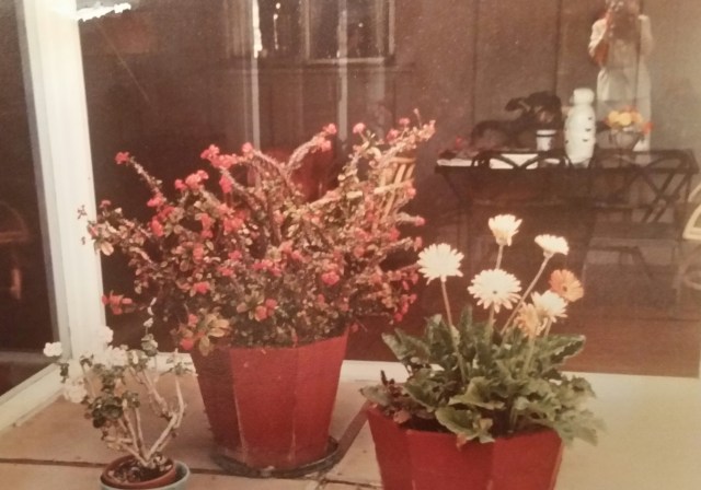 2016-01-08 01.35.31.jpg