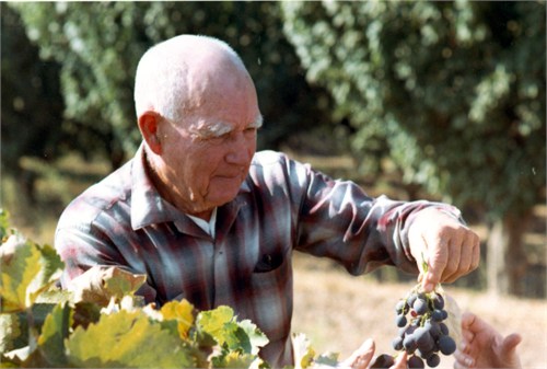 Grandpa Marion Muscats - 1969 , Crawford Ranch