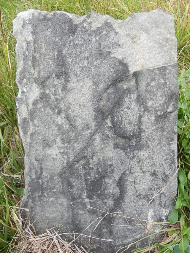 Samuel Carpenter Headstone