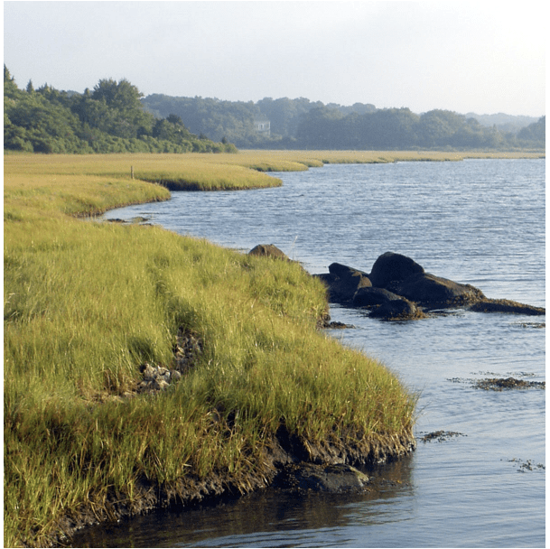 Allen's Pond, Dartmouth is the site of  Audubon Society Bird Walks