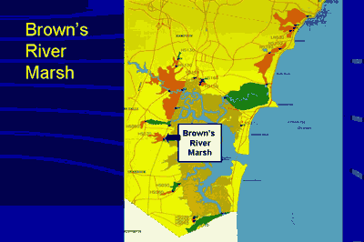 Brown's River Marsh, Hampton New Hampshire