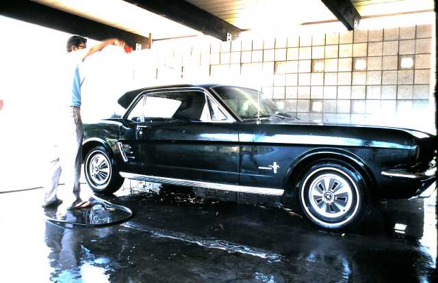 Dad washing his 1964 Mustang