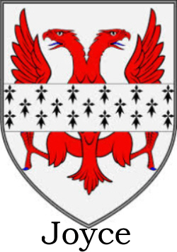 Immigrant Ancestor - Joyce Coat of Arms