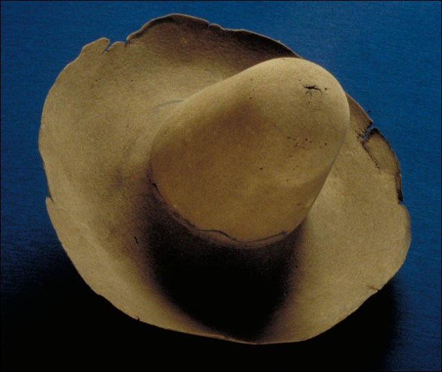 Constance Hopkins Beaver Hat  Source; Pilgrim Hall Musuem