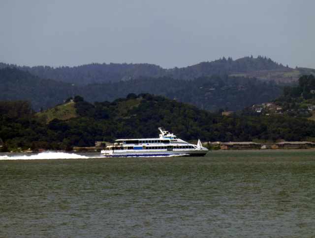 Ferry cruises up San Pablo Bay towards Vallejo. Beats 35 miles of traffic jams!