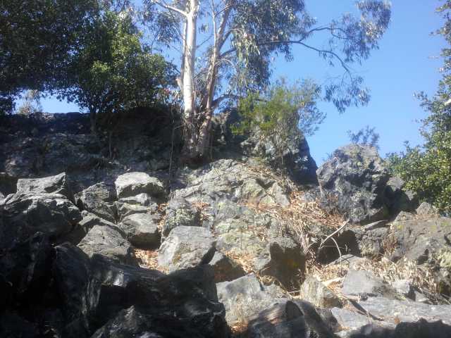 2014-08-26 11.33.43a