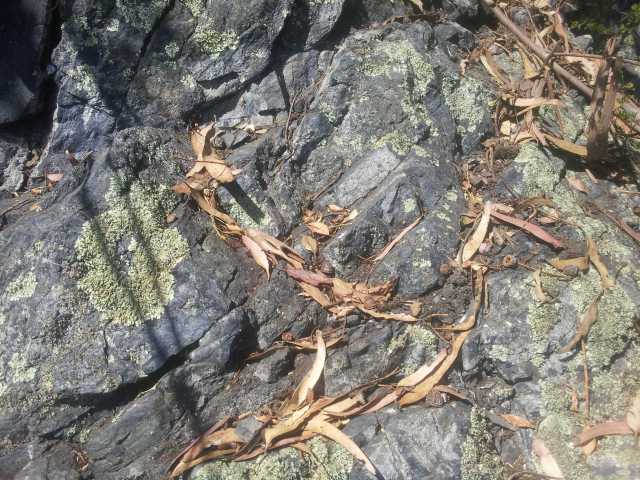 2014-08-26 11.34.30a