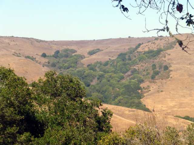 Havey Canyon from across the way