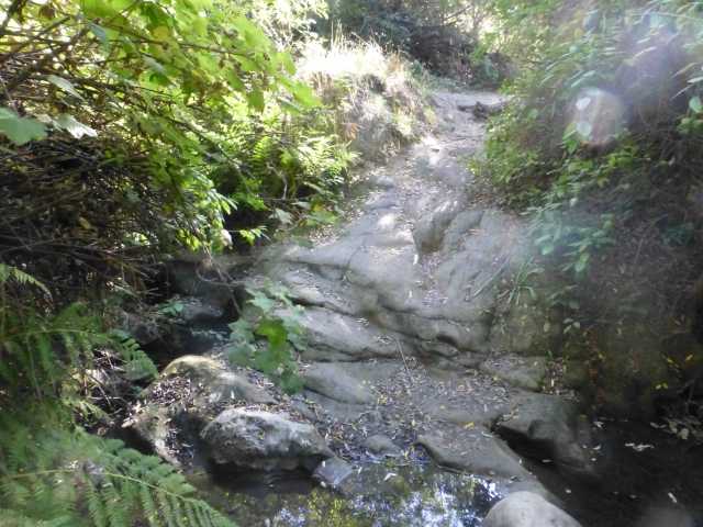 Havey Creek Trail Crossing