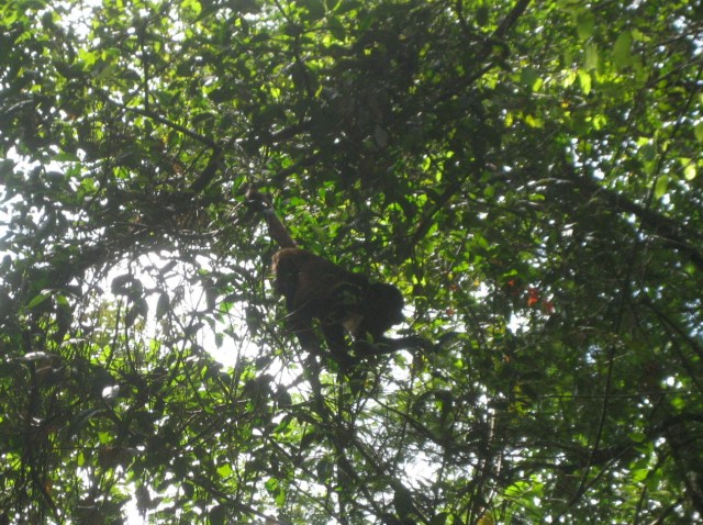 That Fruit Looks Good