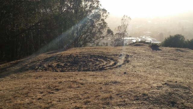 Hillside Labyrinth