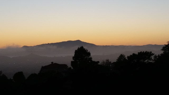 Mt Tam