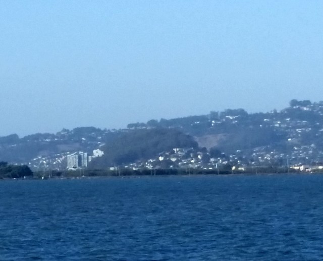 El Cerrito Hillside Natural Area behind Albany Hill