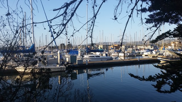 Berkeley Marina with  Houseboats