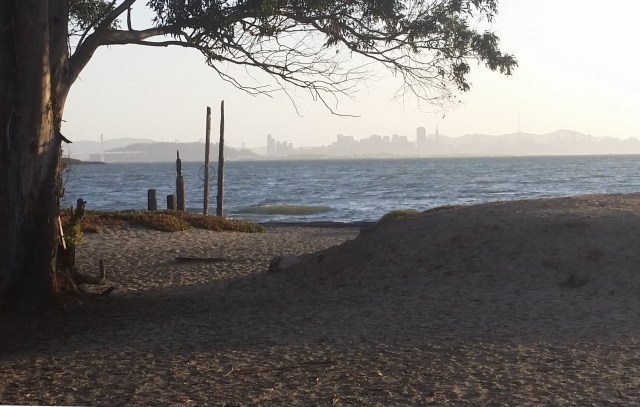 Albany Beach San Francisco View