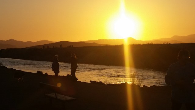 Point Isabel Dog Park