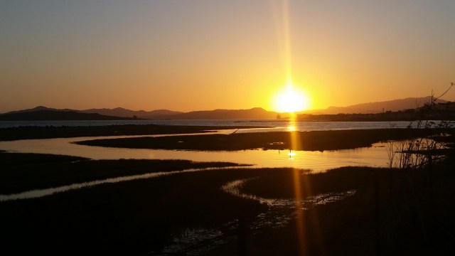 Mouth of Baxter Creek, RIchmond