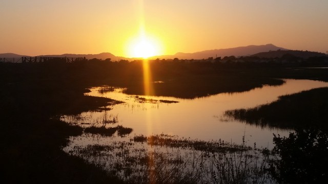 Meeker Slough, Richmond